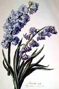 Cornelis van Spaendonck Prints Hyacinth France oil painting artist